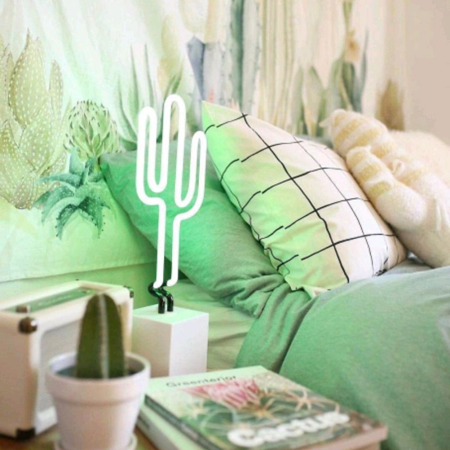 Cactus Decor for a Desert-Inspired Touch